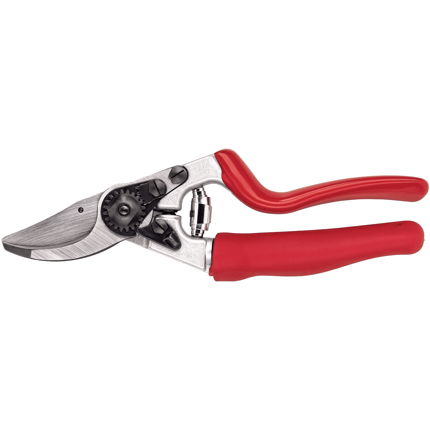 Felco Pruners