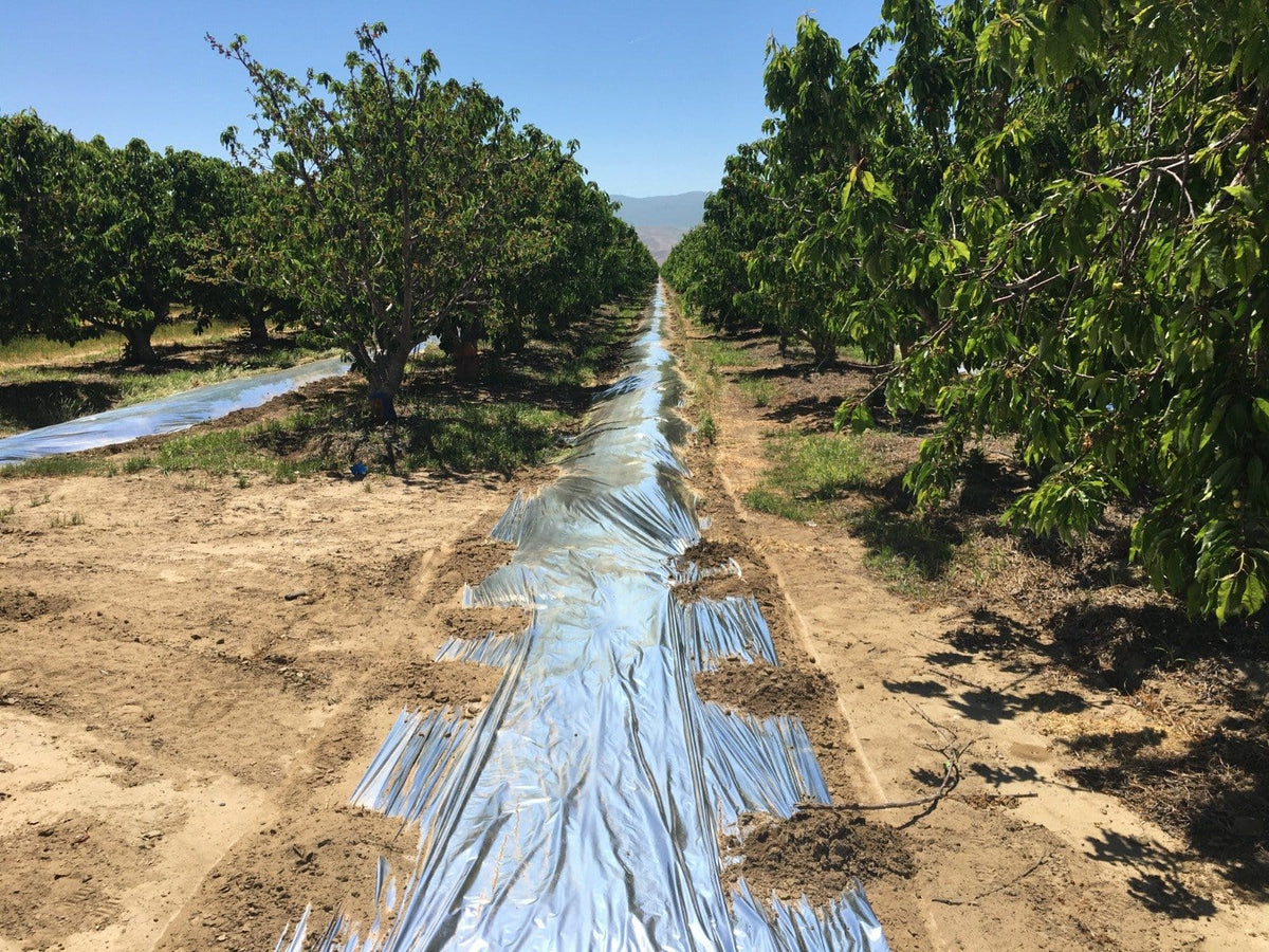 Reflective Film OrchardValleySupply Reflective Film OrchardValleySupply