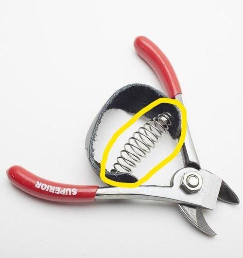 Orchard Valley Supply Corona 5050-5 Replacement Spring