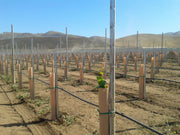 Orchard Valley Supply Grow Tubes