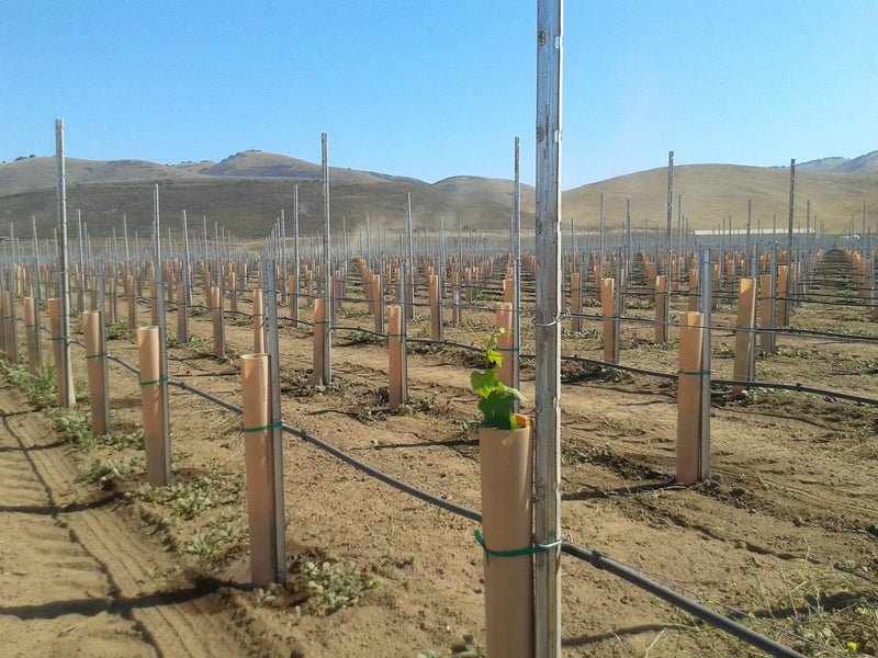 Orchard Valley Supply Grow Tubes