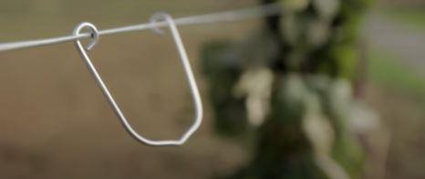 Orchard Valley Supply Tree Line Holder Clip