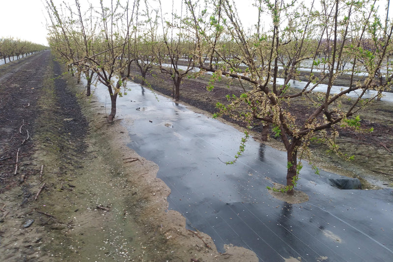 Orchard Valley Supply Weed Mat - Weed Guard